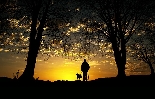Hiking: A Natural Escape for Effective Stress Management and Mental Well-Being